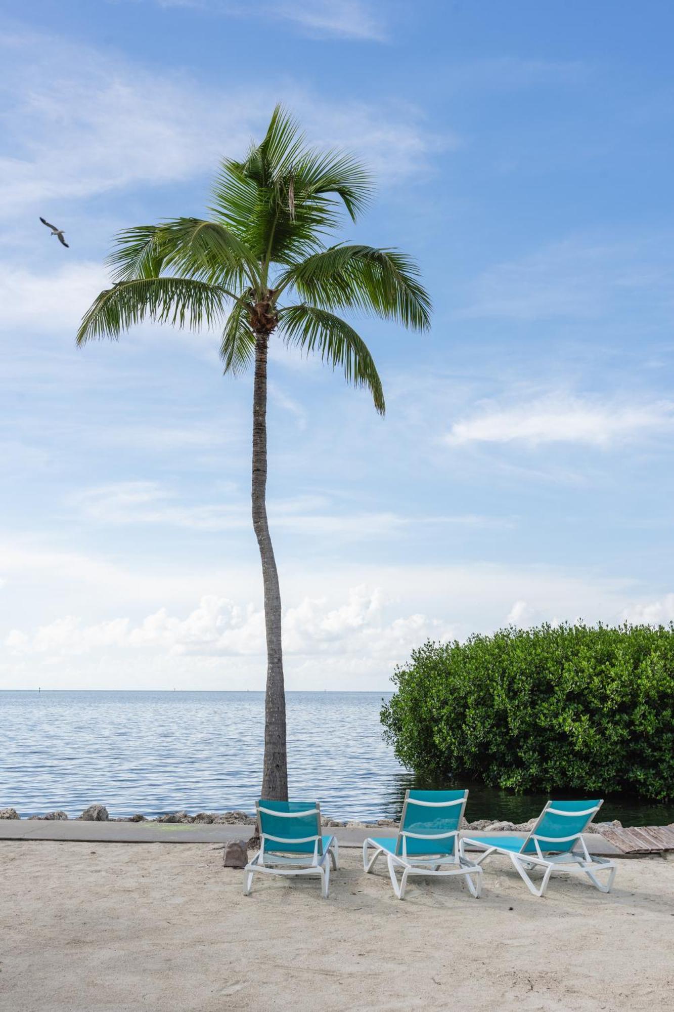 Fisher Inn Resort & Marina Islamorada Εξωτερικό φωτογραφία
